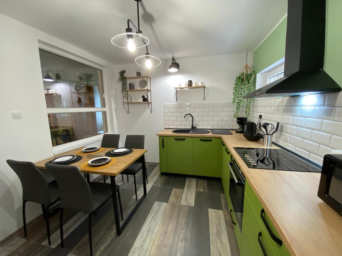 Evergreen Apartment Τιμισοάρα Εξωτερικό φωτογραφία